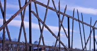 Image: Jordan Holiday